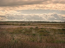 IMGP6118-1_Borris Soenderland